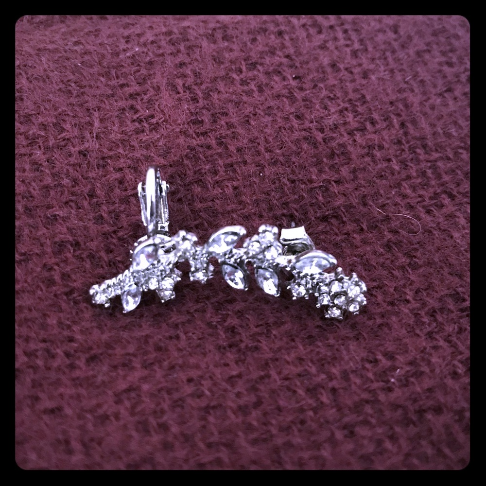 Ear jewelry silver accessory earrings